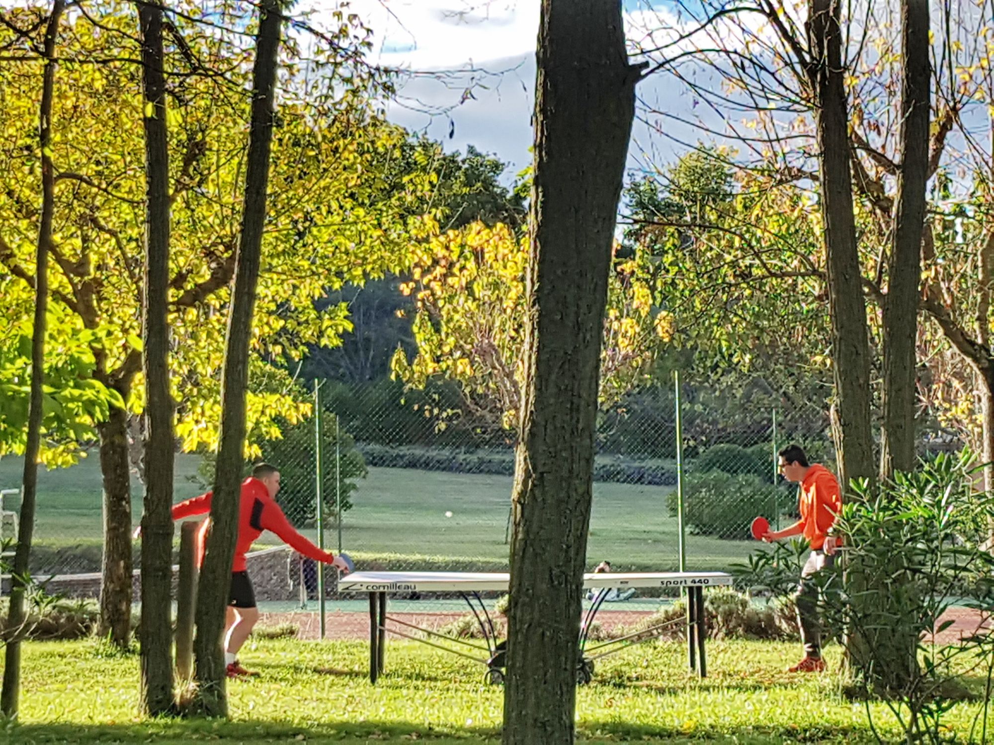 Ping-pong Automne